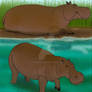 Hippopotamus behemoth