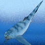 Titanichthys agassizi