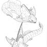 Africanaspis doryssa BW