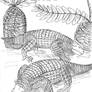 Simosuchus clarki BW