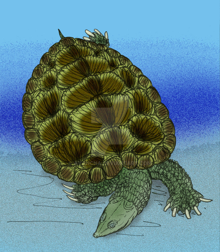 Labrostochelys galkini