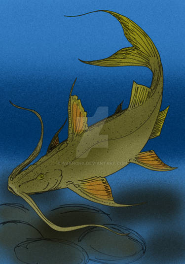 Prehistoric World Gogonasus by Daizua123 on DeviantArt