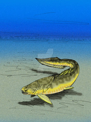Jiuchengia longoccipita