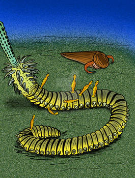 Inquicus fellatus