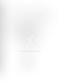 Survey 041