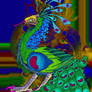 Peacock Dragon