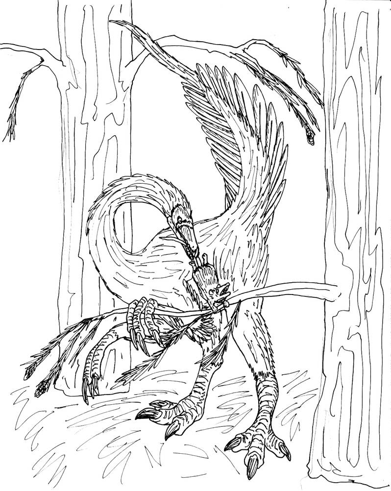 Struthiomimus altus BW V2 by avancna on DeviantArt