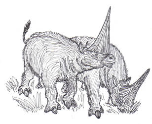 Elasmotherium sibiricum BW