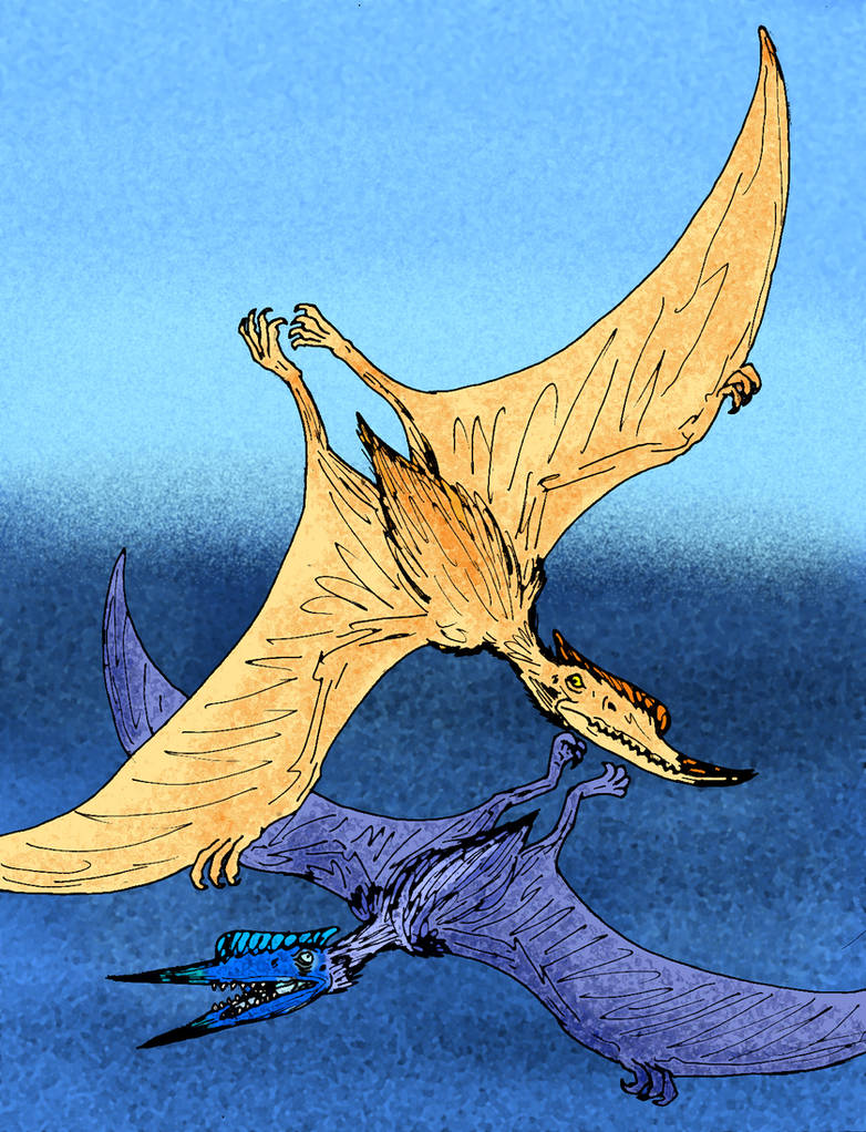 Dsungaripterus weii by avancna on DeviantArt
