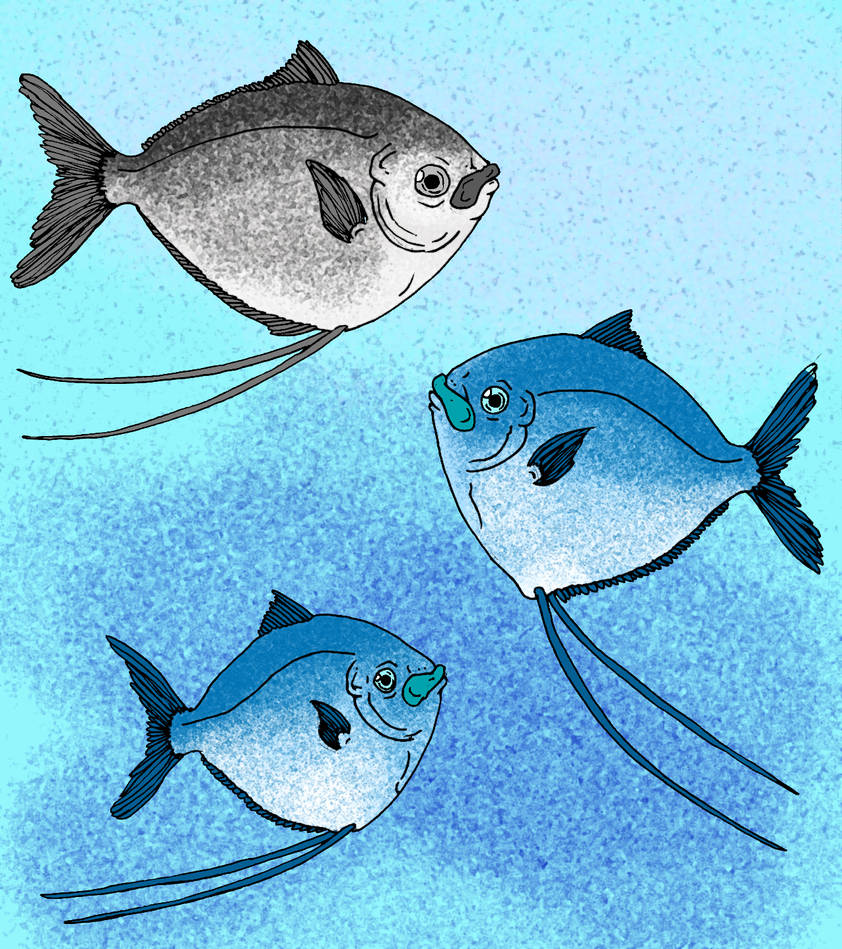 Mene Poisson Mene species V1 by avancna on DeviantArt