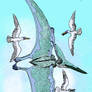 Pteranodon ingens