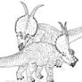 Achelousaurus horneri BW