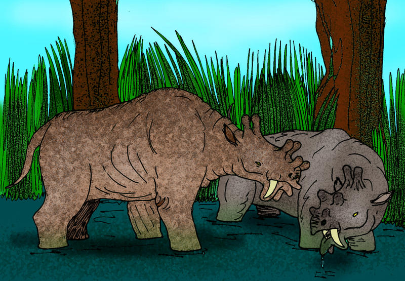 Eobasileus and Uintatherium