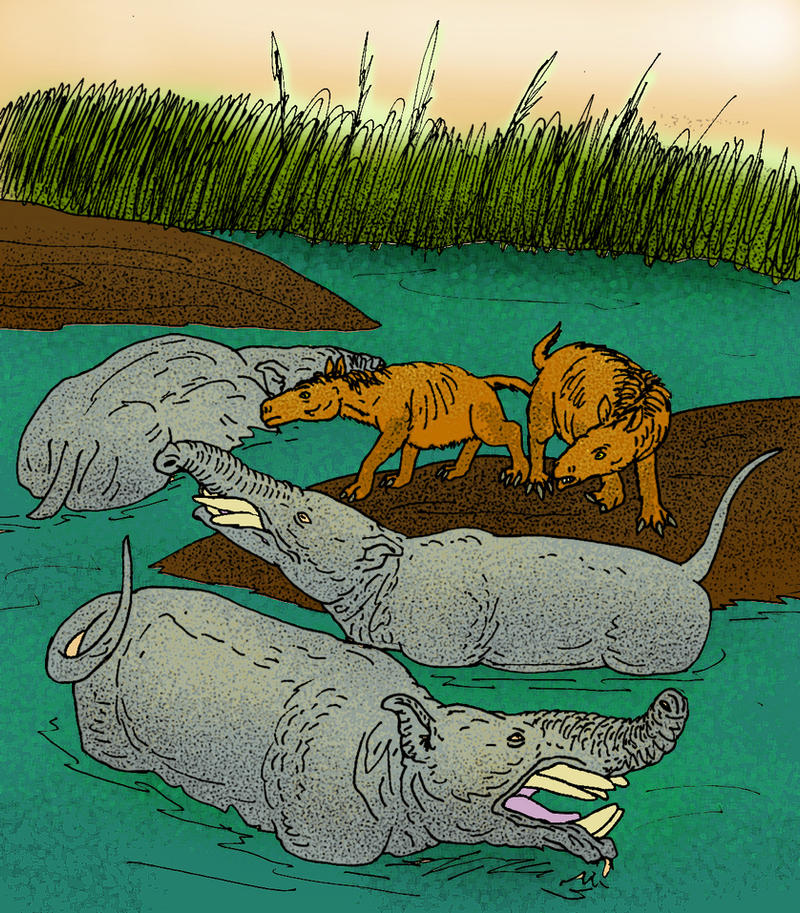 Pyrotherium Pyrotherium romeroi by avancna on DeviantArt
