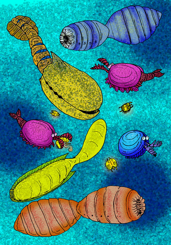 Vetulicolia by avancna on DeviantArt