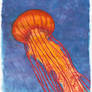 Watercolor Jellyfish