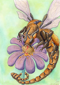 The honey bee dragon