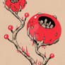 Crimson plant
