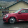 VW Beetle 04