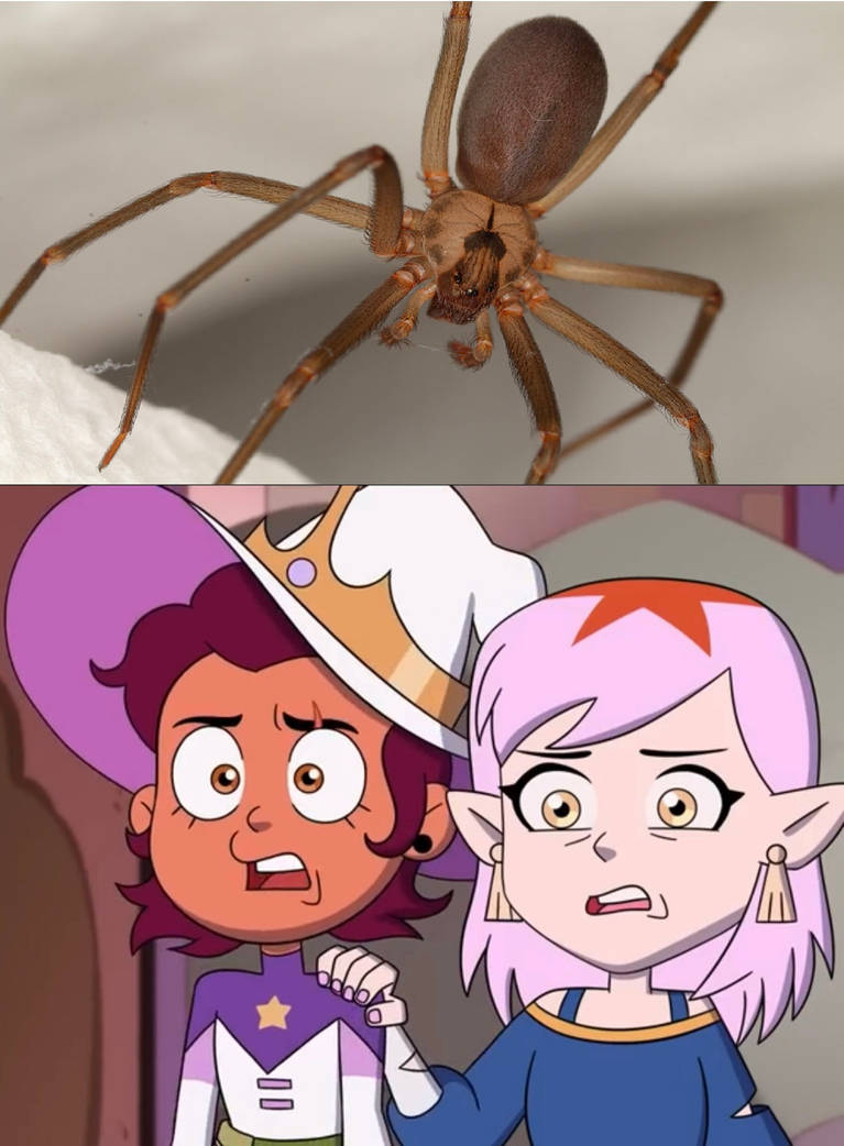 Lumity Repulsed By Brown Recluse Spider by CreativeT01 on DeviantArt