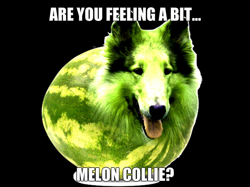 Melon meme by me! by Scarletcat1 on DeviantArt