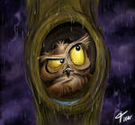 Owl at rain- timwell by childrensillustrator