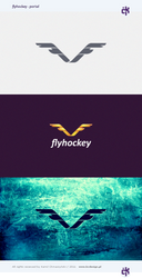 flyhockey - portal by kchmarzynski