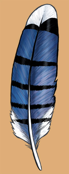 Bluejay Feather By Cambium On Deviantart Bluejay Feather By Cambium On Deviantart
