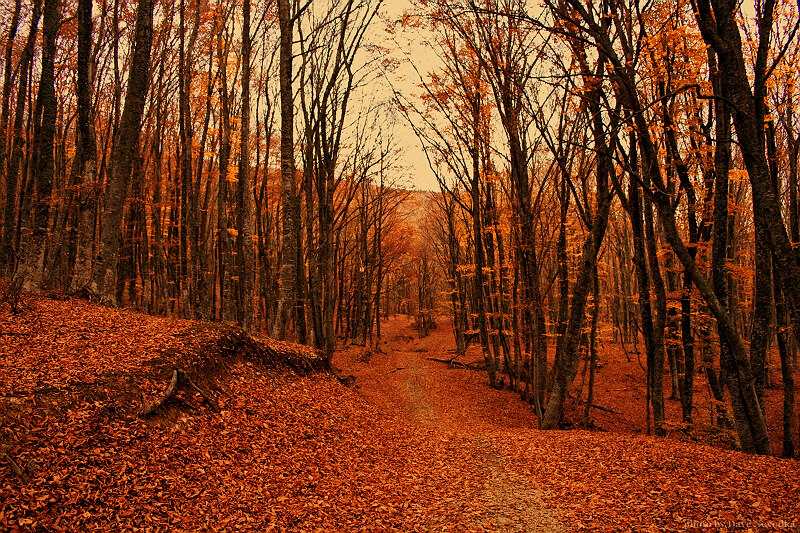 crimea autumn