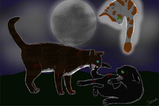 Hollyleaf's death