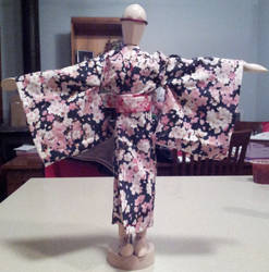 Mini Kimono full sleeves fount