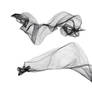 Cloth 16