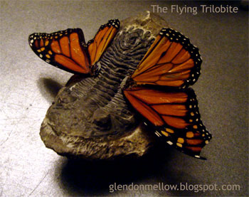 Flying Trilobite photo