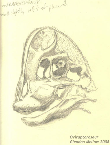 Oviraptorosaur sketch