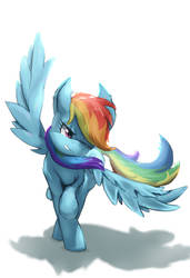 Rainbowdash