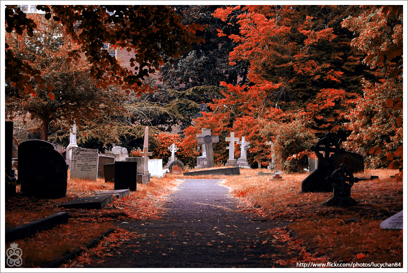 Autumn Morgue