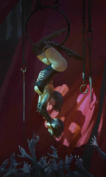 Shadow Trapeze