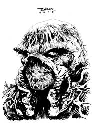 SWAMP THING COMMISSION