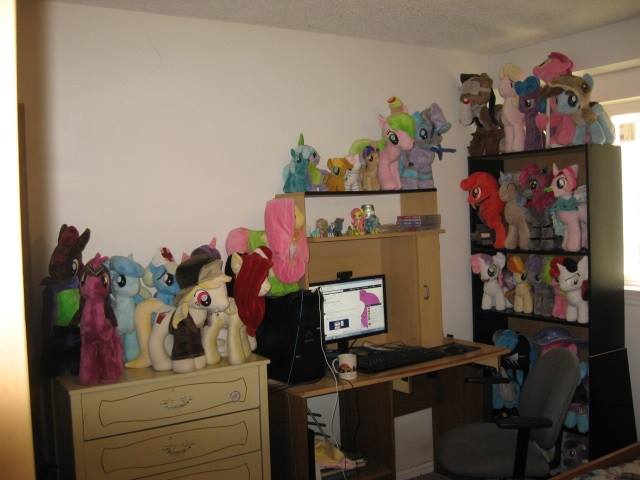 current pony setup