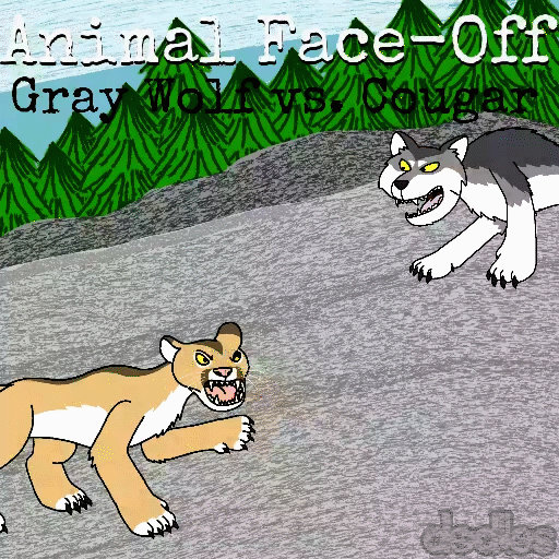 Wolf vs Cougar-Animal Face Off by DavideoStudio on DeviantArt Wolf vs Cougar-Animal Face Off by DavideoStudio on DeviantArt