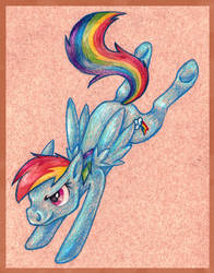 .RainbowDash.