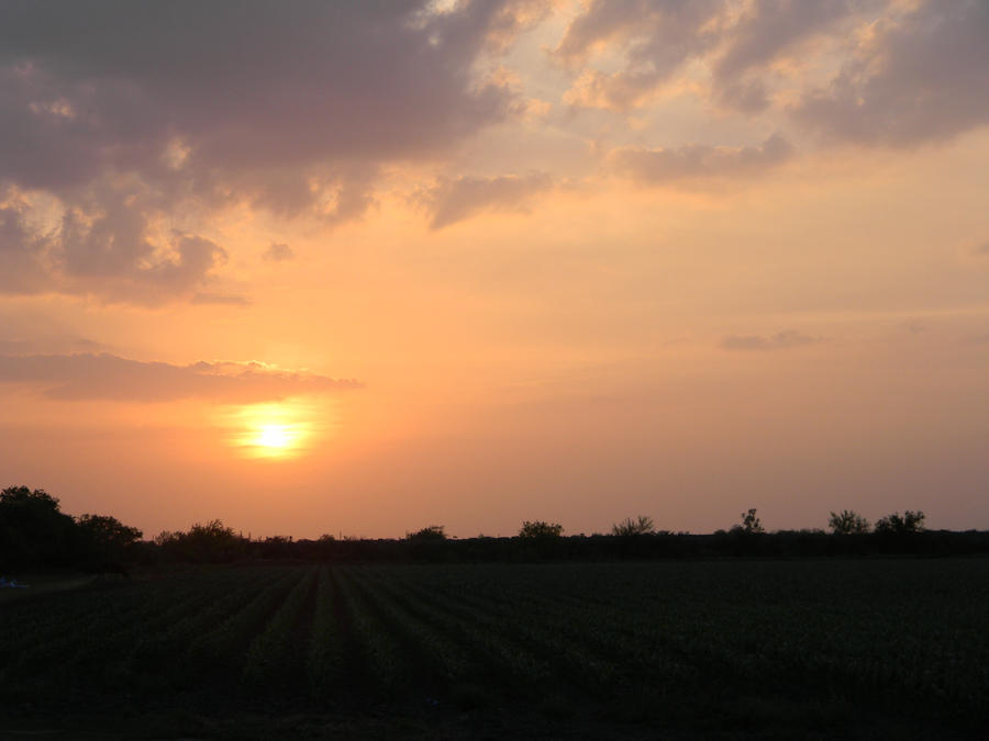 Sunset Distorted Distorted Sunset by formula78583 on DeviantArt