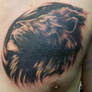Lion Cover Up