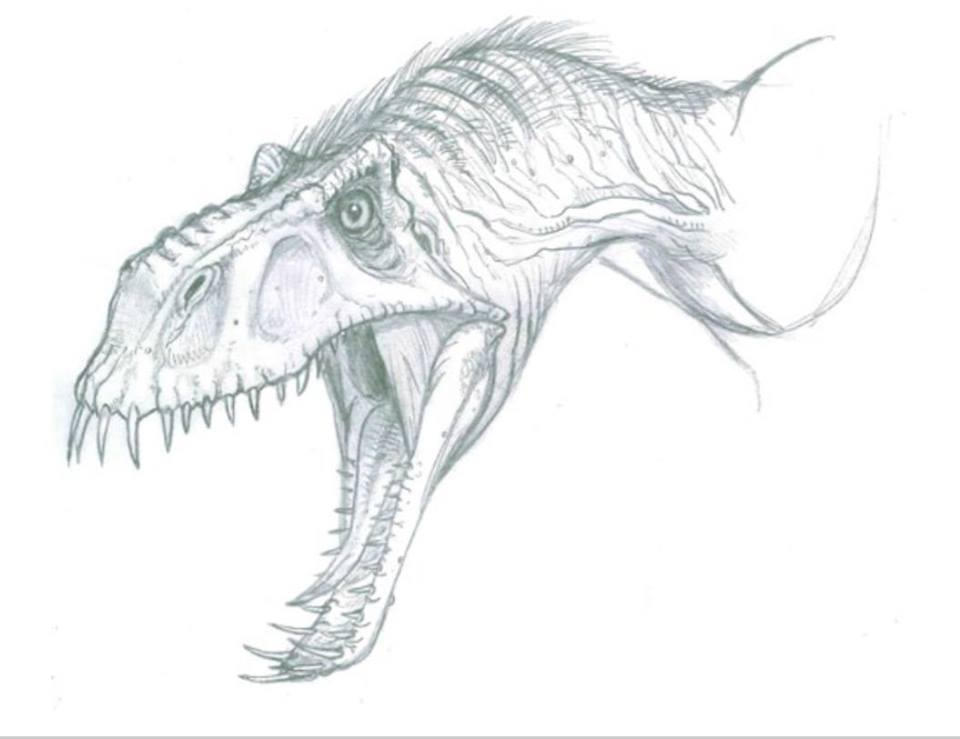 Jurassic World Concept Art - Dimorphodon Sketch by IndominusRex on ...