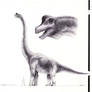 Jurassic Park Concept Art - Brachiosaurus