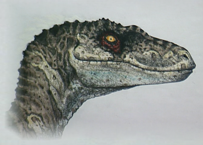 Jurassic Park 3 Concept Art Female Sorna Raptor By Indominusrex On Deviantart