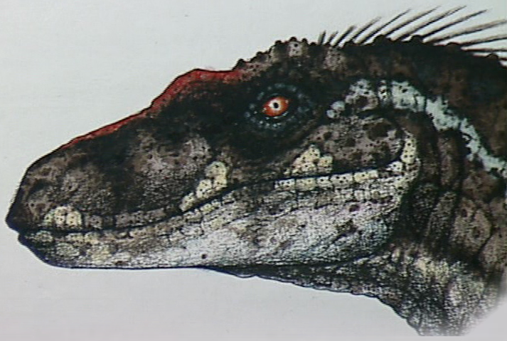 Jurassic Park 3 Concept Art - Male Sorna Raptor by ...