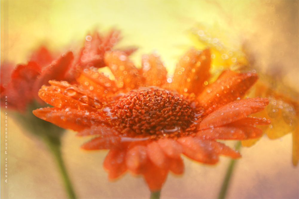 Autumn is arriving by Azzeria
