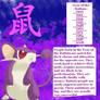 The year of the Rattata:ZODIAC