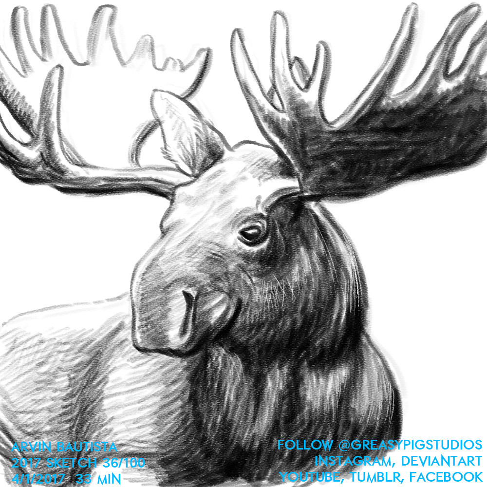 Arvin Bautista Sketches 2017 36/100: Elk